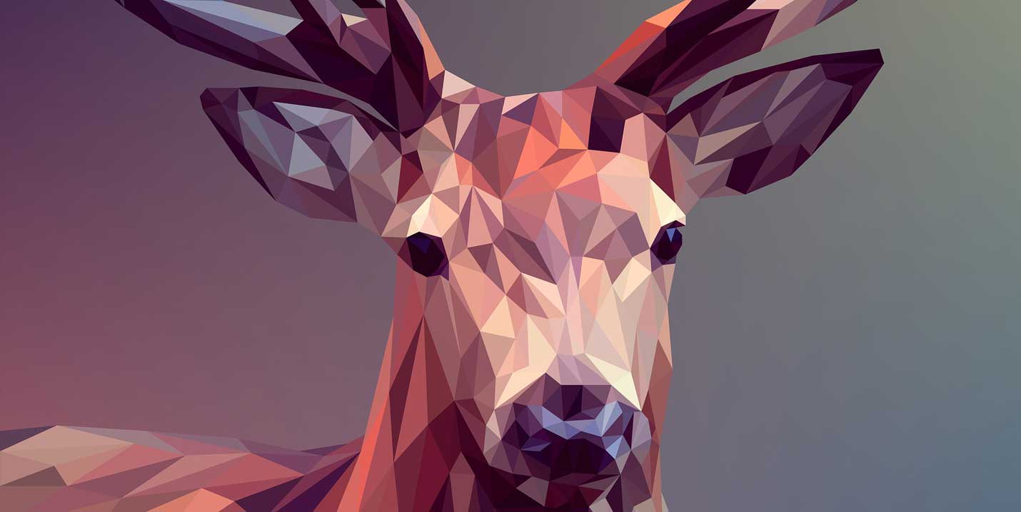 Zauber von Webdesign