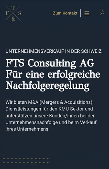 FTS Consulting AG (Schweiz)