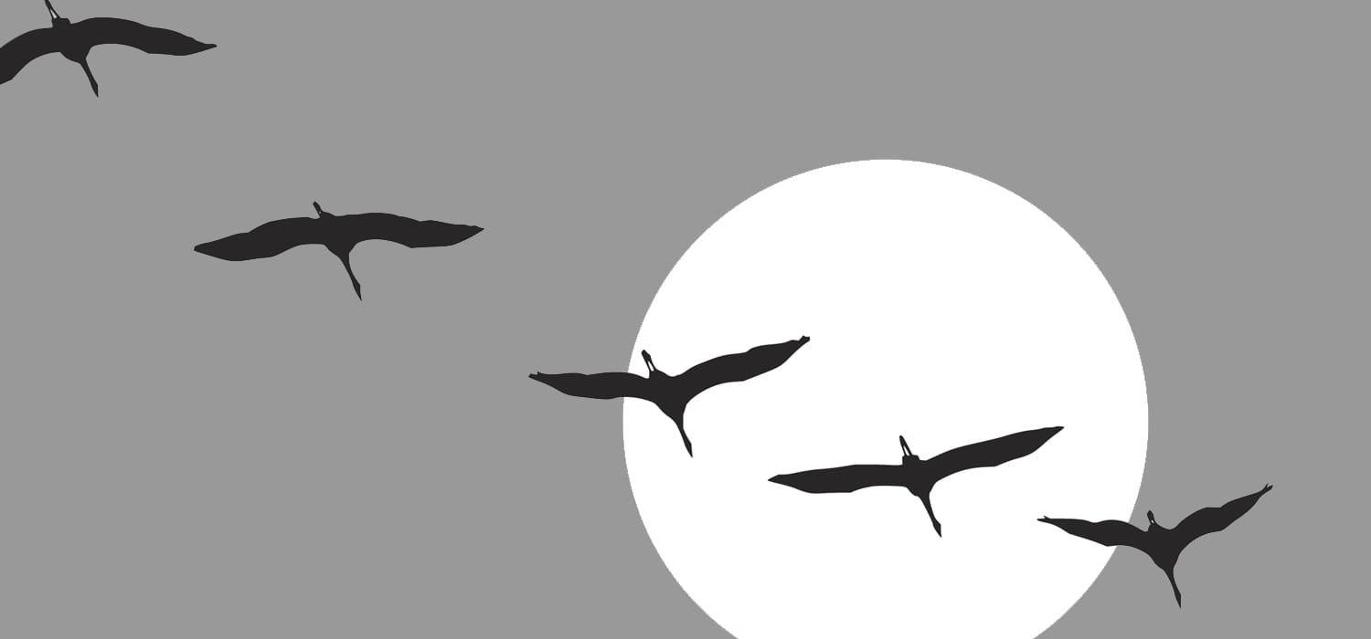Webdesign Relaunch mit Richtung und Wirkung Fliegende Vögel vor hellem Kreis als abstraktes Bild für Richtung, Bewegung und gestalterische Wirkung bei einem Webdesign Relaunch